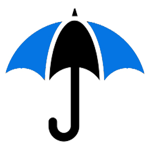 umbrella-bluetail-services