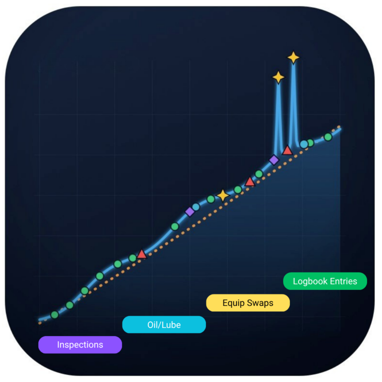 Bluetail Timeline