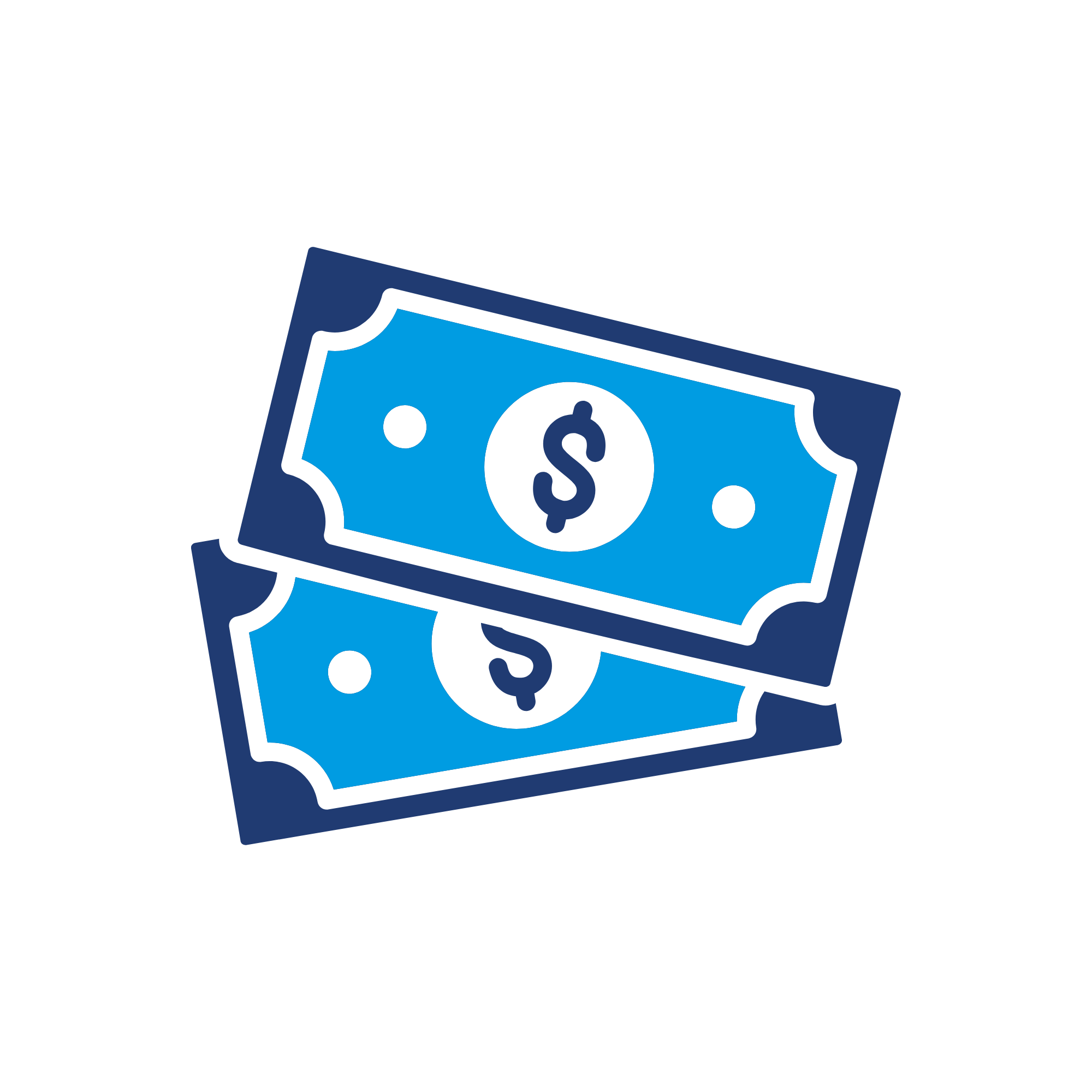 Money icon